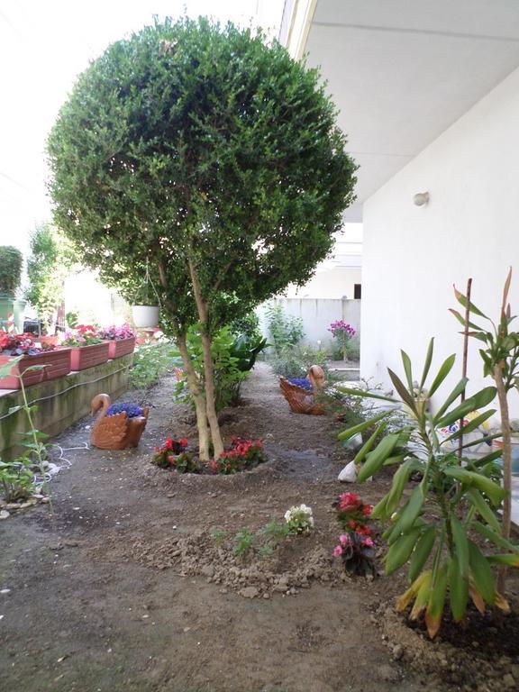 Hotel Dioni Paralía Eksteriør bilde