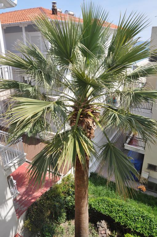 Hotel Dioni Paralía Eksteriør bilde